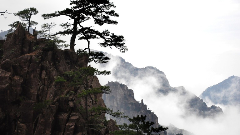 Conservation transfrontalière d'habitats et d'espèces vulnérables dans la région frontalière sino-vietnamienne sous l'effet du changement climatique