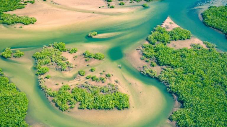 Conservation des zones humides clés pour les oiseaux migrateurs et la biodiversité au Sénégal