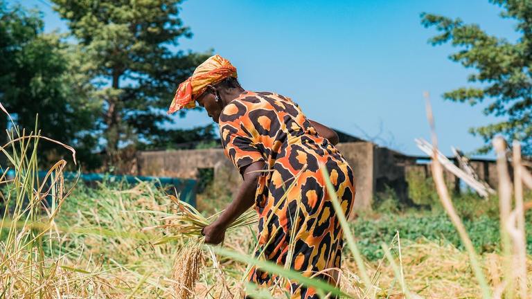 EGALES – Gender Equality and Access to Electricity in Senegal