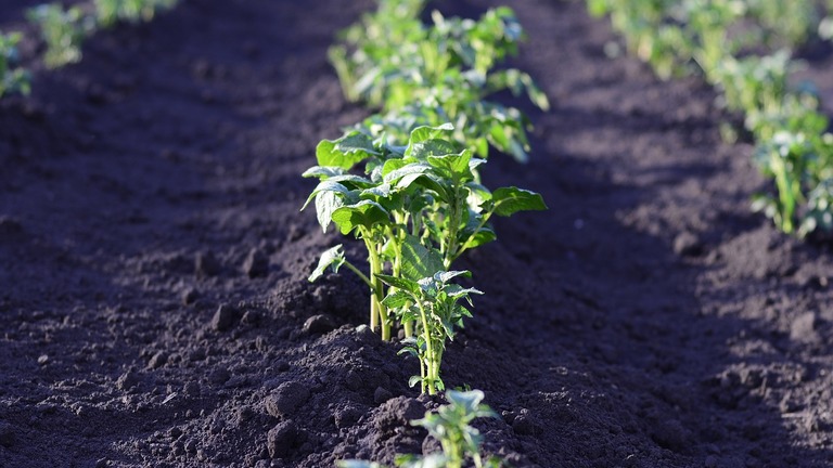 Champions de l’Alimentation Durable et de la Biodiversité 