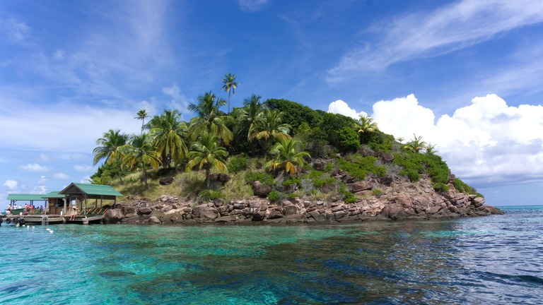 Local community involvement in coral reefs reforestation in the Barù Peninsula, Colombian Caribbean National Park.