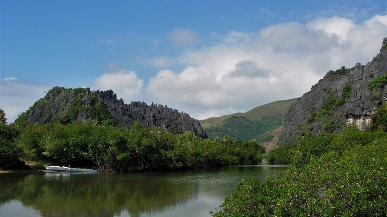 Restauration des forêts littorales de la Côte Oubliée de Nouvelle-Calédonie