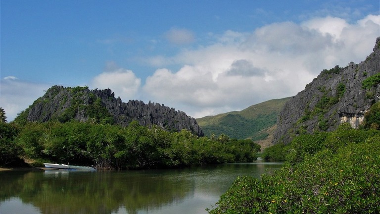 Restoration of the coastal forests of the Forgotten Coast of New Caledonia